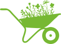 Brouette STE Normallement Vert
